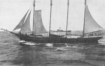 Winslow with Wairuna in background